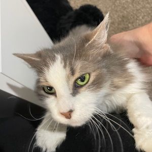 Meet your Posher, Christine